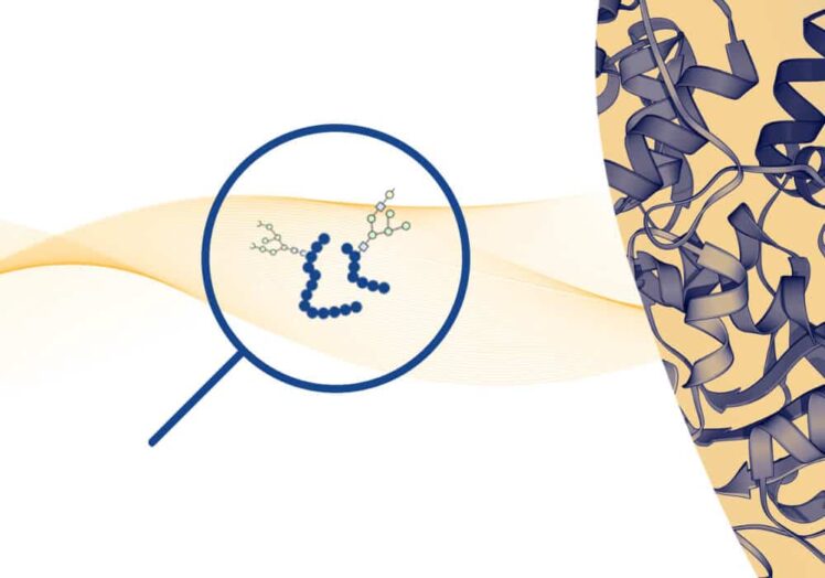 glycopeptide enrichment 6 1 3 1.jpeg