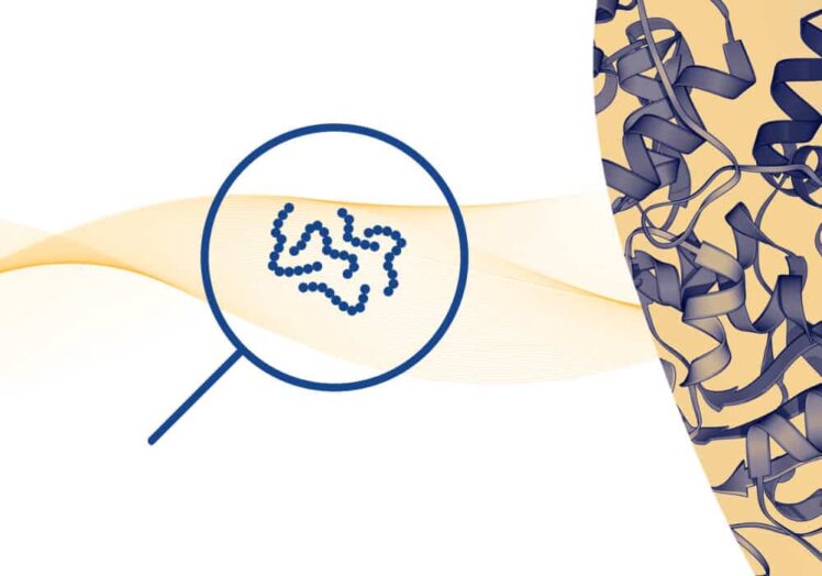 peptide desalting 2 1 3 1.jpeg