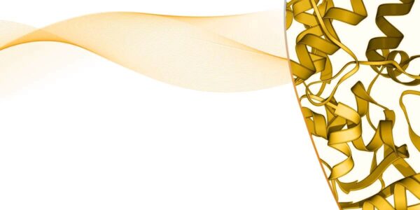 sample preparation kits for proteomics 1 1 3 1.jpeg